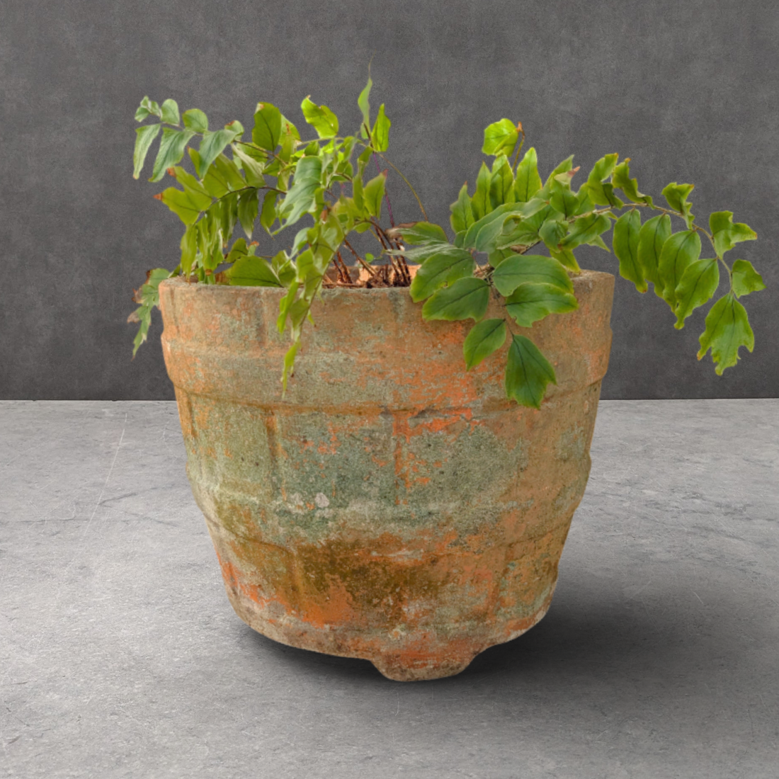 Vintage Cast Stone Barrel Planter