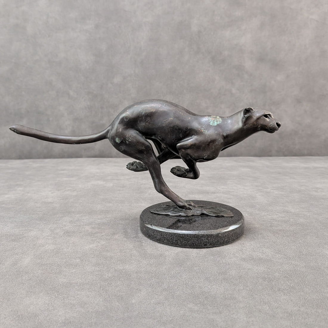 Llewellyn Davies | Bronze Cheetah