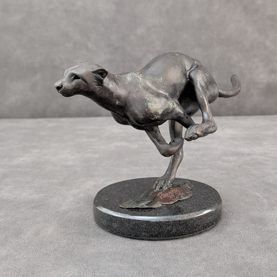 Llewellyn Davies | Bronze Cheetah